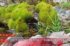 大同左云靠清凉生态造出夏日文旅热 解锁凉资源变热产业新路径