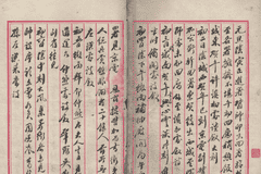 天一阁藏《某人日记》作者揭秘 光绪年秋闱朱笔书写藏身份线索