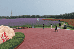 千亩花海映湖光 查干湖引客沉浸式享夏日惬意游