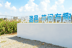 8月7日潞邑花海光影盛宴来袭 亲子摄影教学+露天观影解锁双重乐趣