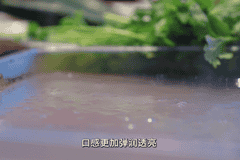 非遗面食看朔州丨应县擦凉粉，晋北夏日地道风味
