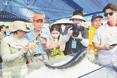 千帆竞发牧海 八方游客逐鲜——广东各地将开渔盛事办成暑期文旅嘉年华，铺展海洋经济新蓝图