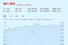 资金抢着买！股价破历史新高