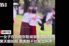 云南弥勒一女子强抓黑天鹅拍照，黑天鹅不时发出叫声，景区：已将女子劝离园区