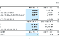中兴通讯：上半年实现营收780亿元 算力业务贡献35.1%