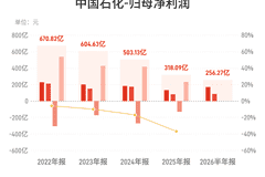 中国石化：上半年归母净利润256.27亿元，同比增长19.30%