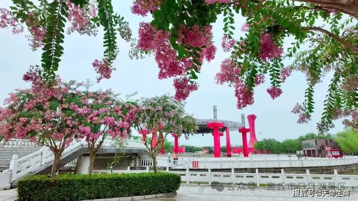 商丘日月湖景区：紫薇花开
