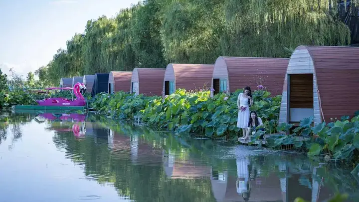 息县:盛夏赴约观荷韵 乡旅兴业暖童心