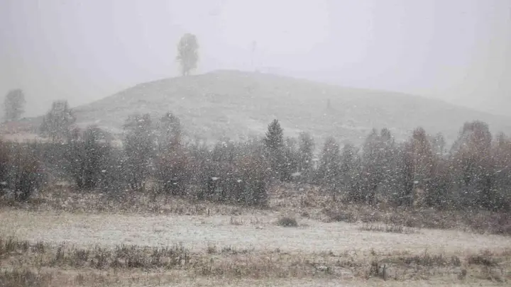 2026喀什逛吃全攻略出炉！新手跟着走不踩坑，美食亮点全在这了