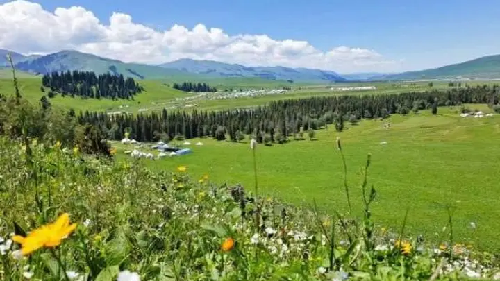 伊犁河谷四季玩法全亮点 草原雪山花海湖泊一站式玩透