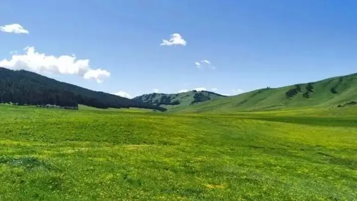 在阿尔泰群山怀抱中，寻一段四季流转的慢旅行