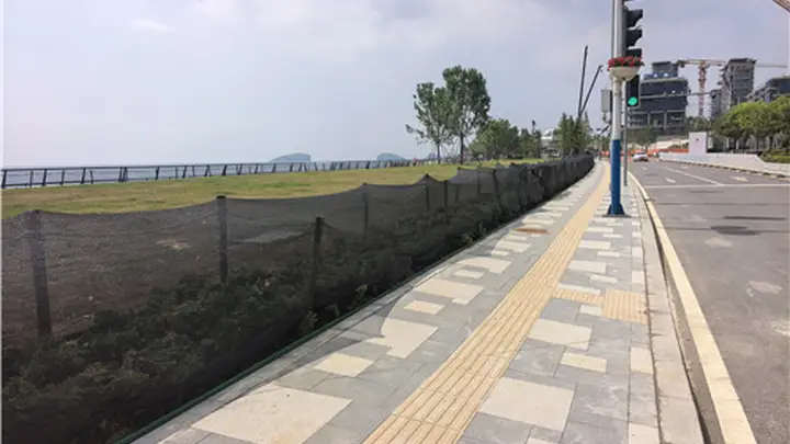 《露营热灼伤雕塑公园南侧草坪》后续：草坪养护完毕，已恢复开放