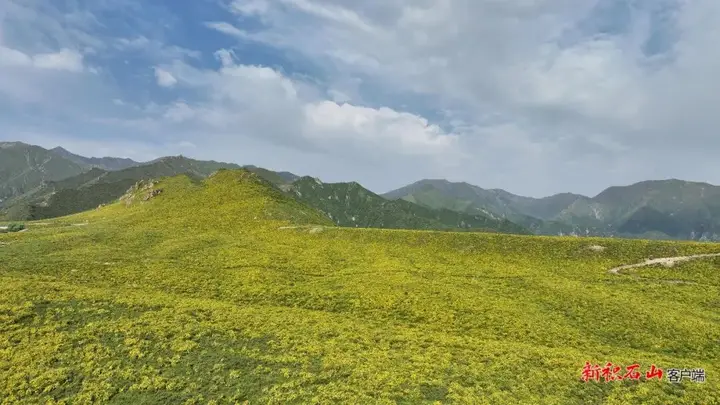 【文化旅游】山间花海、飞瀑流泉、民族歌舞——积石山旅游大通道开启避暑旺季