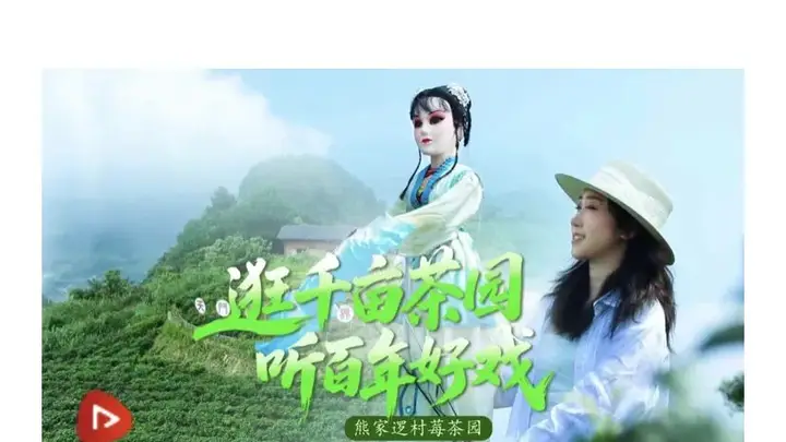 获央视网推介！永定区这几个莓茶园热度爆棚