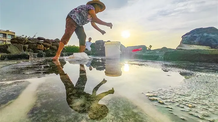 儋州峨蔓:晴空晒盐忙,千年古法续华章