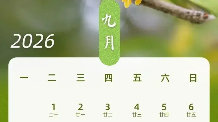 最新放假安排→