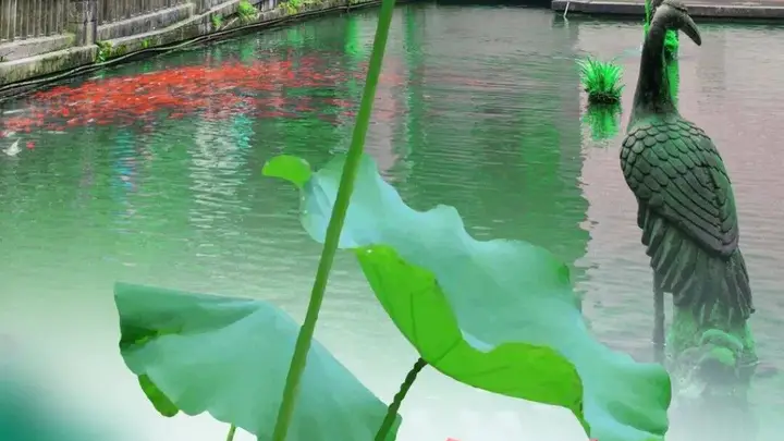 大暑寻清凉 滴水洞享山林静谧