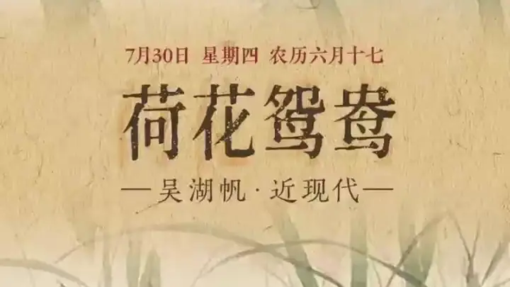 7月30日《荷花鸳鸯》亮相！荷清鸳伴 满塘清趣太吸睛