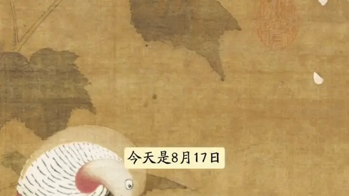 图知道｜《芙蓉锦鸡图》：芙蓉锦鸡 秋色如锦