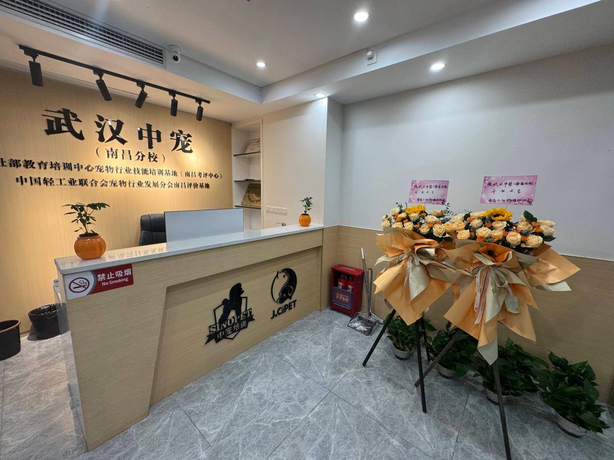 在南昌学宠物美容，避开这3个就业“大坑”，能省你一年弯路