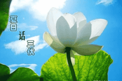 快入伏了,要多吃碱性菜!分享8道碱性凉拌菜做法,清热去燥安稳入伏!