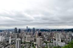 【有理贵阳】做强社交场景让乡村旅居“四季常青”
