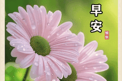 晨光启序,温柔赴朝