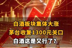 【白酒板块集体大涨 茅台收复1300元关口，白酒这是又行了？】