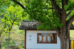 超山后山这条藏在竹海里的小众路线，避开人群撞见专属于你的山野秘境