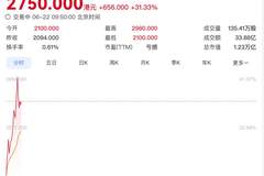 智谱盘中总市值突破1万亿港元，年内涨超1900%