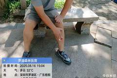 深圳梧桐山野猪种群数量呈增长态势 景区紧急提醒……