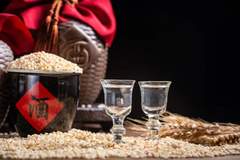 一斤白酒 vs 一箱啤酒,哪个更伤胃?