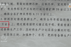 种23万亩水稻,上报近39万亩!央视曝光湖南江华县“纸上种田”