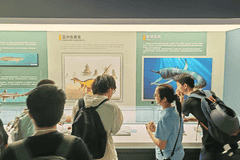 师生走进沙坪坝地质博物馆探秘山城地质