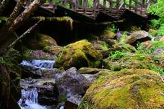 清河妈妈顶、雪乡原始林、威虎山九寨等景区7月16日起恢复开园