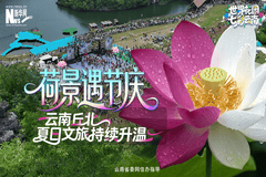世界花园 七彩云南|荷景遇节庆 云南丘北夏日文旅持续升温