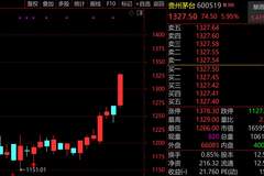 科技股重挫,茅台王者归来:联讯仪器跌回千元,机构目标价看至1650元