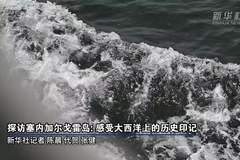 戈雷岛：大西洋上的历史回响与今日风光