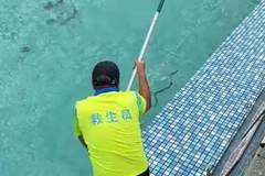 广东清远一景区泳池现蛇 工作人员称无毒已处理