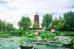 去了延庆,才知道什么叫做“生如夏花”——