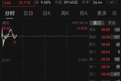 上市仅4天股价涨近6倍，长鑫科技登顶A股总市值榜首