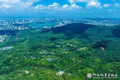 钟山赴青春之约！南京钟山风景区诚邀2026年全国高校新生共赴千年文脉之约