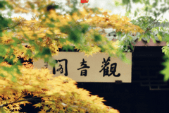 立秋至浅秋启 南湖革命纪念馆伴你共赴清宁好光景