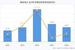 国电电力：上半年营收790.29亿元增1.77%，净利30.14亿元降18.25%
