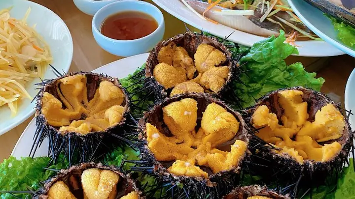 长岛渔家乐含三餐价格大揭秘,这家正规民宿,海鲜天天不重样