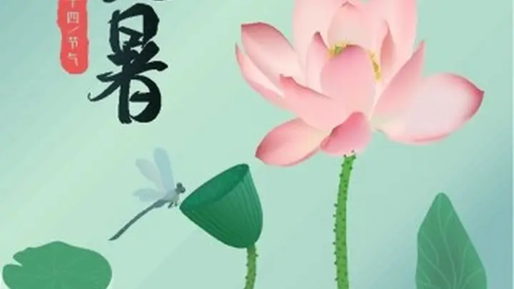 大暑早餐吃这4种,清爽祛湿精神好