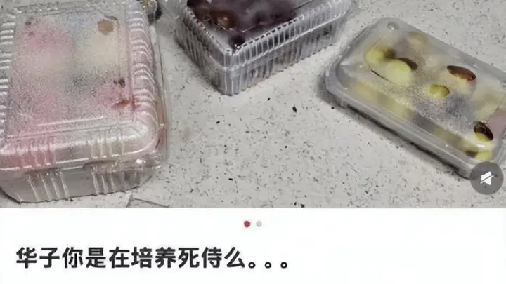华为字节实习薪资破万成焦点 车企实习薪资待追差距