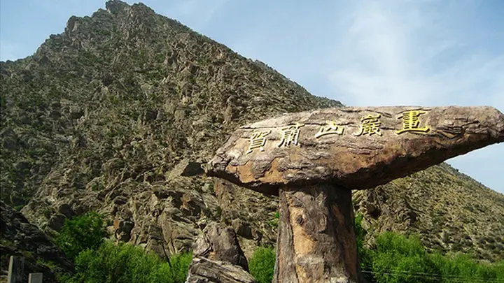 探秘太阳神岩画、偶遇贺兰山岩羊——在苍茫群山间感受万年文明回响