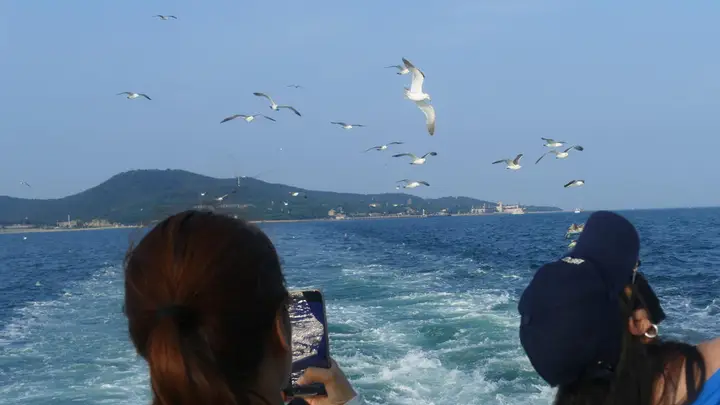 文旅观察|暑期滨海游明显升温,市场供给丰富游客仍可“捡漏”