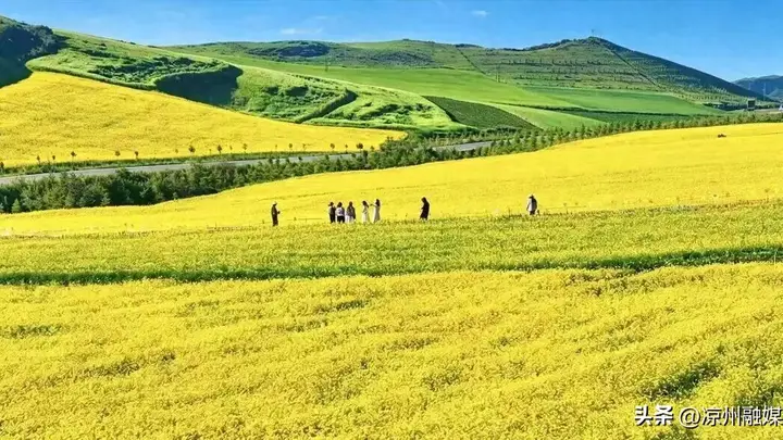 盘活清凉资源 点燃夏日经济!武威文旅市场热度持续攀升